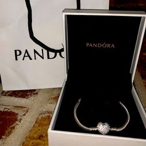 Pandora Charm Bracelet